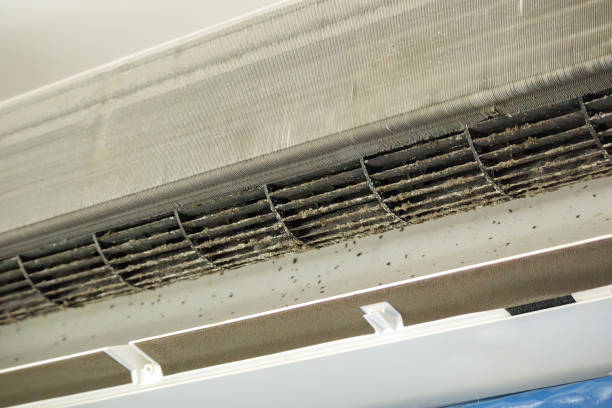 Best Best Air Duct Cleaning Company  in Kimberly, AL